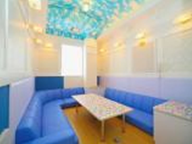 カラオケ合衆国 盛岡 岩手 店 青森 秋田 岩手 宮城のカラオケボックスチェーン